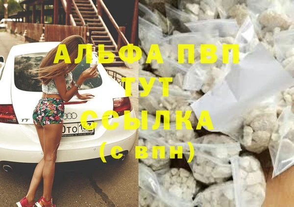 спайс Беломорск