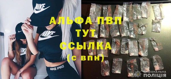 СК Белокуриха
