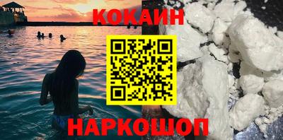 крисы Камышлов