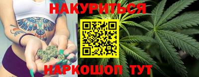 крисы Камышлов
