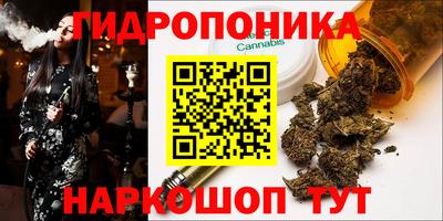 спайс Кимры