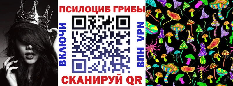 Галлюциногенные грибы мицелий  Кстово 